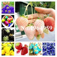 QQ20181210151528