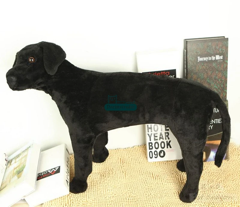 Dorimytraderビッグ品質シミュレーション動物ラブラドール