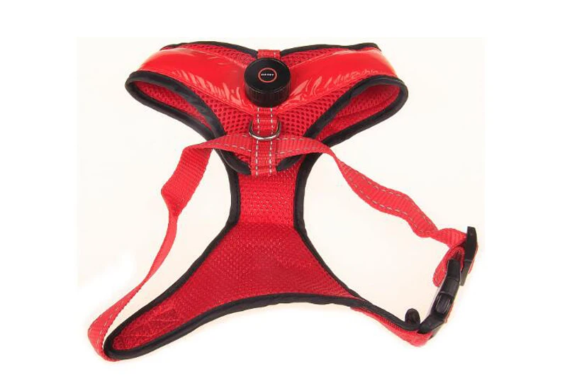 dog supplies  (17)