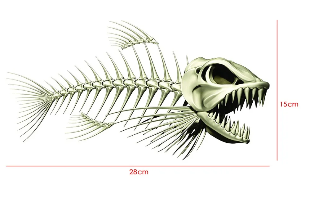 fish111