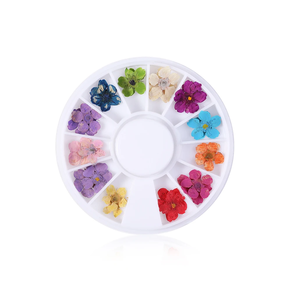 12PCS/Wheel Japanese Nail Art Decoration Dried Flower 3D Manicure Polish Flower Fashion Design For Nail Tips Decoration Tips