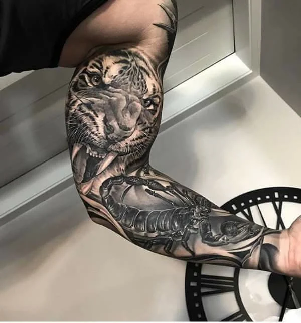 27657582_418085761958557_7074085855219063949_n