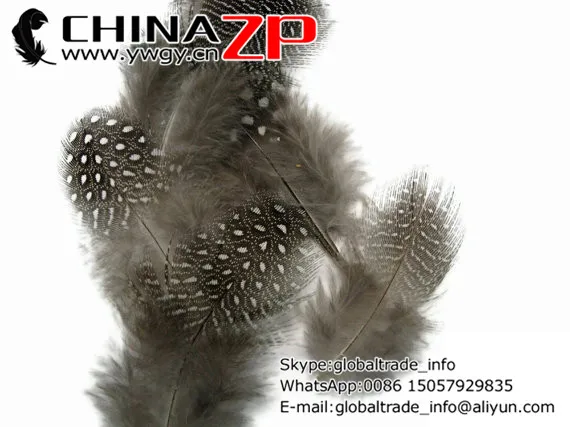 Розничная и оптовая продажа CHINAZP Factory www.ywgy.cn 200 шт./лот перья в горошек натуральная