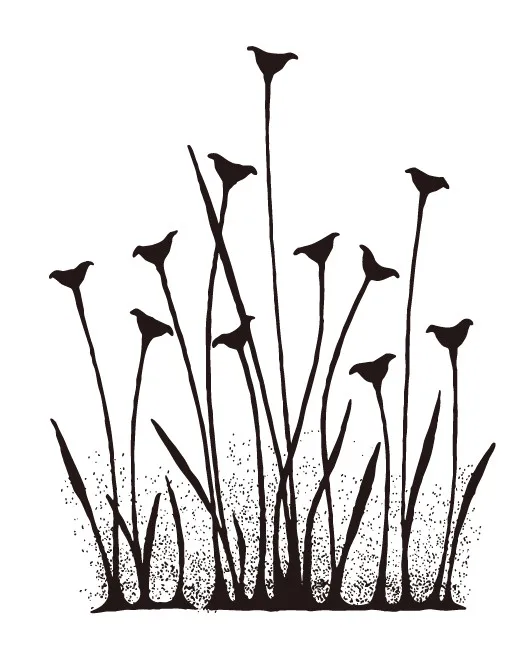 

fairy buttercups Transparent Clear Stamps for DIY Scrapbooking/Card Making/Kids Christmas Fun Decoration Supplies