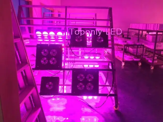  QQ20180203215738