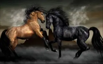 

Modern Home Decor Prints oil painting on canvas living room wall Horse