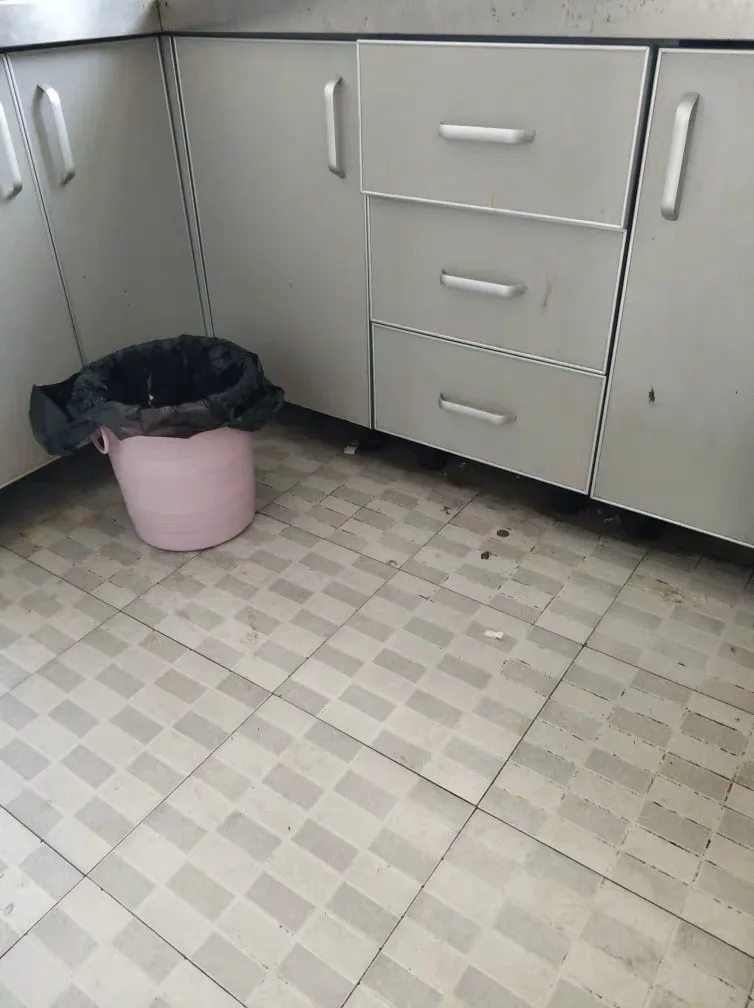 High Quality Casa e Jardim