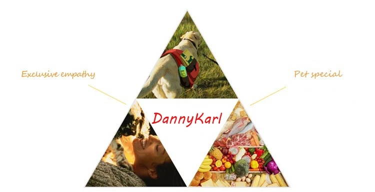 DannyKarl, Автомобильная подушка для питомцев, товары для собак, задние подушки, водонепроницаемое противоскользящее одеяло, гамак, безопасное сиденье для собак, защита для спины автомобиля
