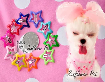 

50PC/Lot Stars Dog Hair Clips Puppy Dog Mini BB Hairpin For Yorkshire Teddy Pet Accessories