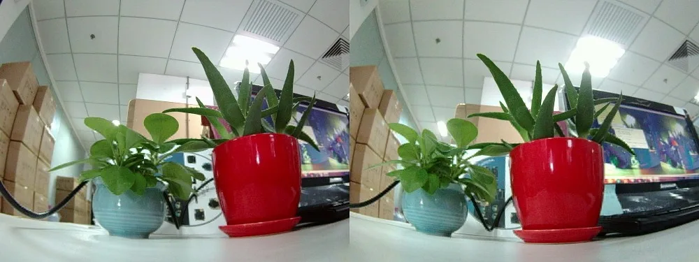 960P dual lens 2