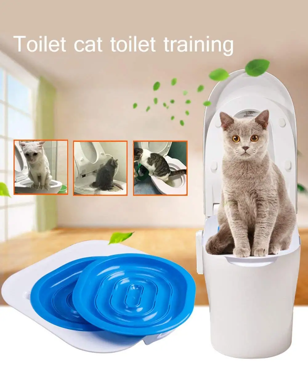 training your cat to use the toilet