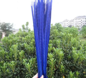 

Wholesale 100 pcs beautiful sapphire pheasant tail feathers of 40-45 cm 16 to 18 inches free shipping