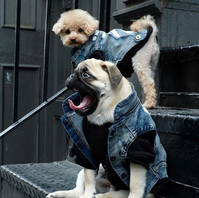 Pets Tide Brand Clothes Kitty Method Bucket Myna Tactic Schnauzer Puppy Autumn And Winter Thin Section Cowboy Vest |