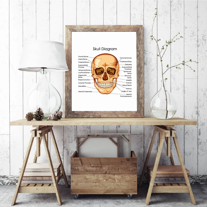 Medical Education Chart of Biology Print
