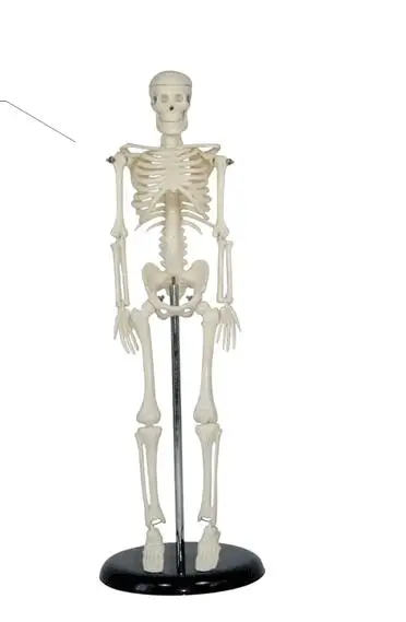4-45cm-1