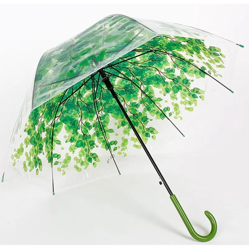 Где найти зонтики. Зонтик. Зотик. Зонт прозрачный красивый. Зонт листья зеленые.