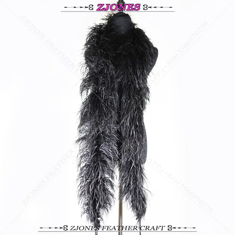 _DSF2460