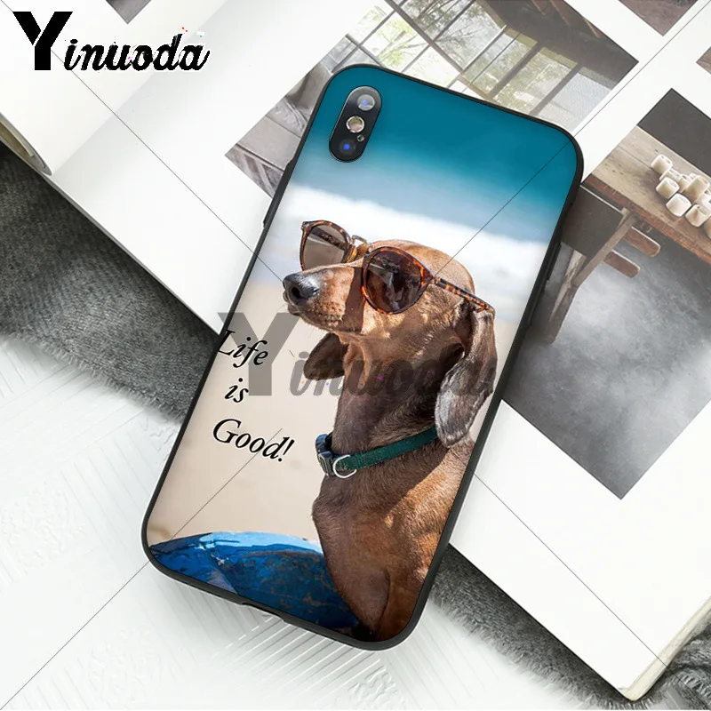 black Dachshund Doberman Dog face 