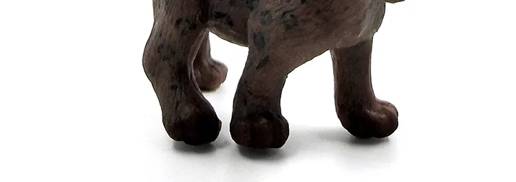 -2--DW-M-LP531-535_08