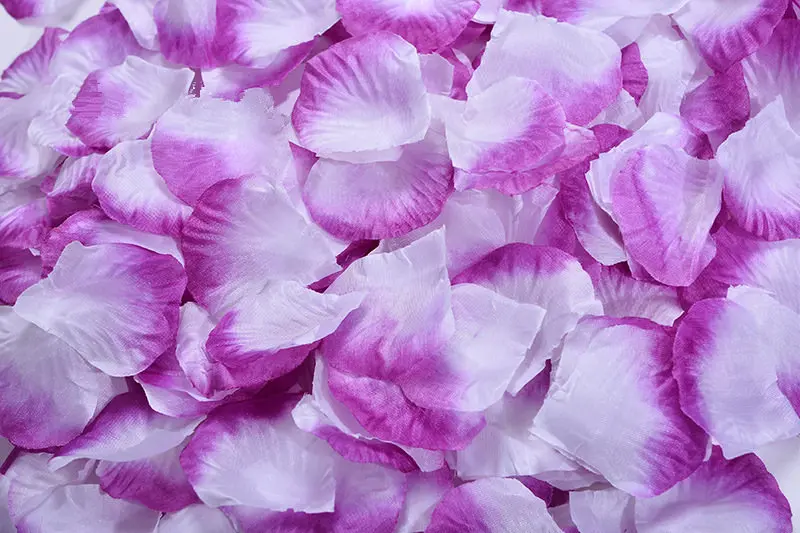 2382-25-10pcs-purple and white-