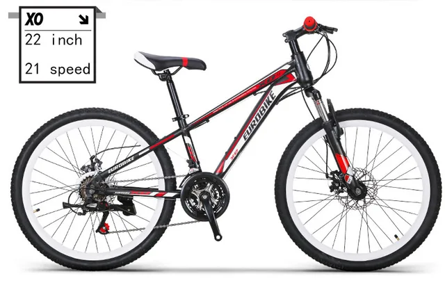 bicicletta 165