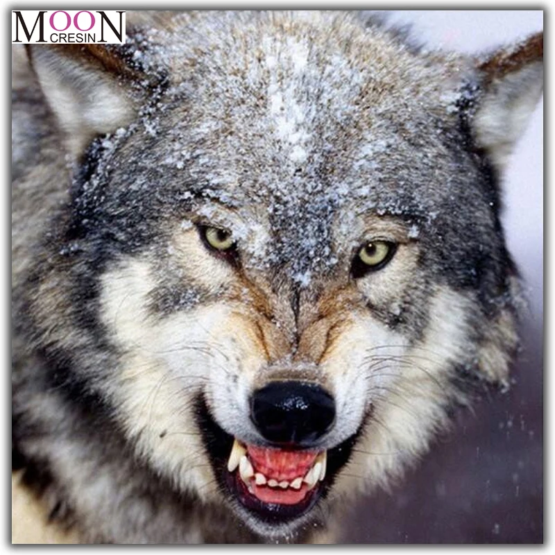 

MOONCRESIN Diy Diamond Painting Cross Stitch Animals Big Wolfs Diamond Mosaic Full Round Diamond Embroidery Handmade Resin Gifts