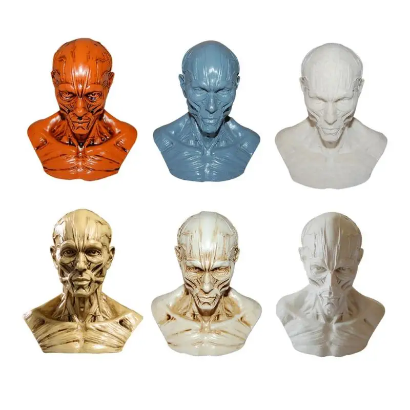 

High Precision Resin Simulation Muscle Skull Medical Mannequin Bust Personalized Home Handicraft Halloween Decoration