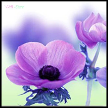

Rhinestones Pictures,diamond painting Purple poppy flower,diy diamond painting,5d diamond painting new arrival NEW1077