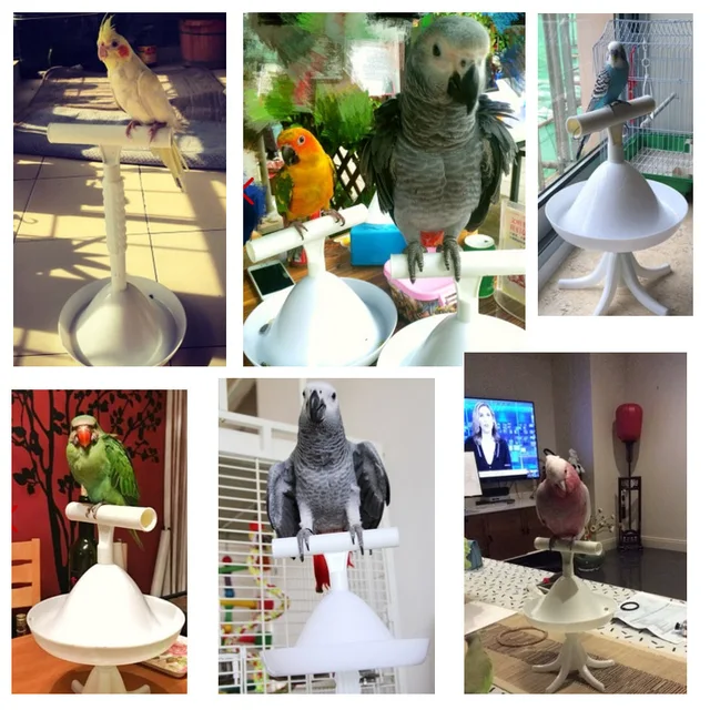CAITEC Parrot Stand Bird Toys Portable Perch and Training Tool Light Weight Bird Stand Safe Sturdy Tool for All Sizes Parrots 5