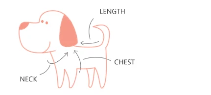 dog2
