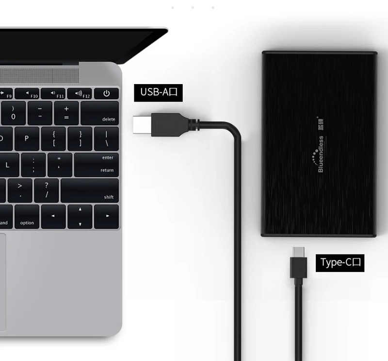 type C hard disk case  (1)