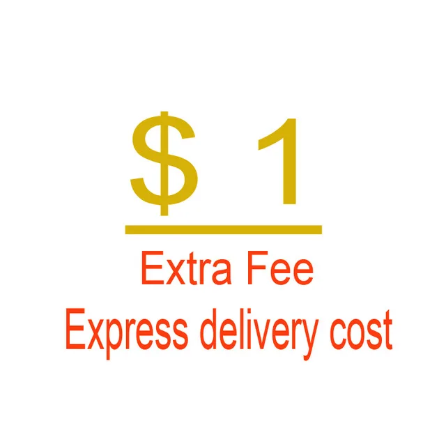 Extra-Fee-Express-delivery-cost.jpg_640x640