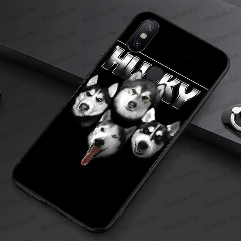 Animal Husky cute Puppy Dog