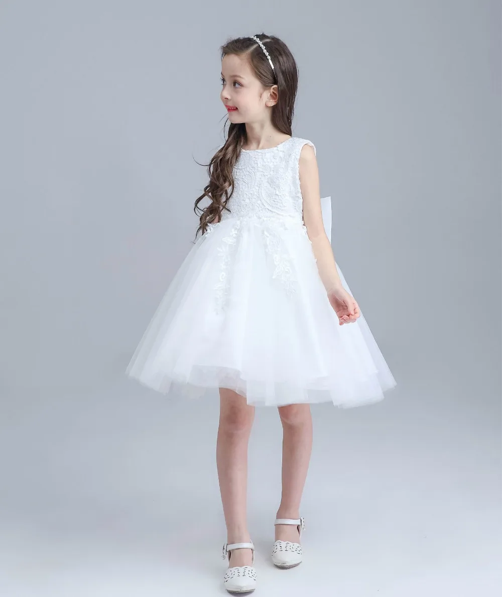 Children Clothing Girl Dresses Embroidery Lace Party Dress Girl
