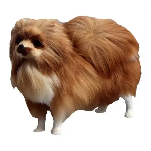 Simulated Cute Pomeranian Dog Photography Props Desktop Car Home Decor Toy Gift plastic&furs standing dog for girls Birthday