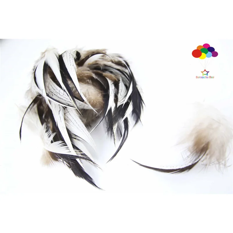 

100pcs 100% natural premium pheasant feather 5-10cm/2-4inch white black tail beautiful for Diy carnival costume mask headdress