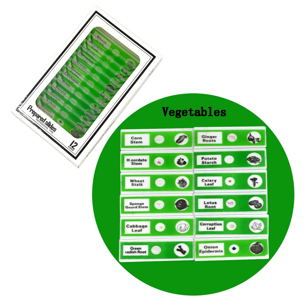 Chanseon 12 шт./компл. пластмассовые слайды для микроскопа Биологический образец с для детей Студенческий микроскоп для обучения