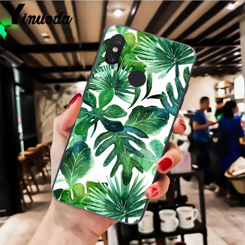 Palm tree Leaves pattern  