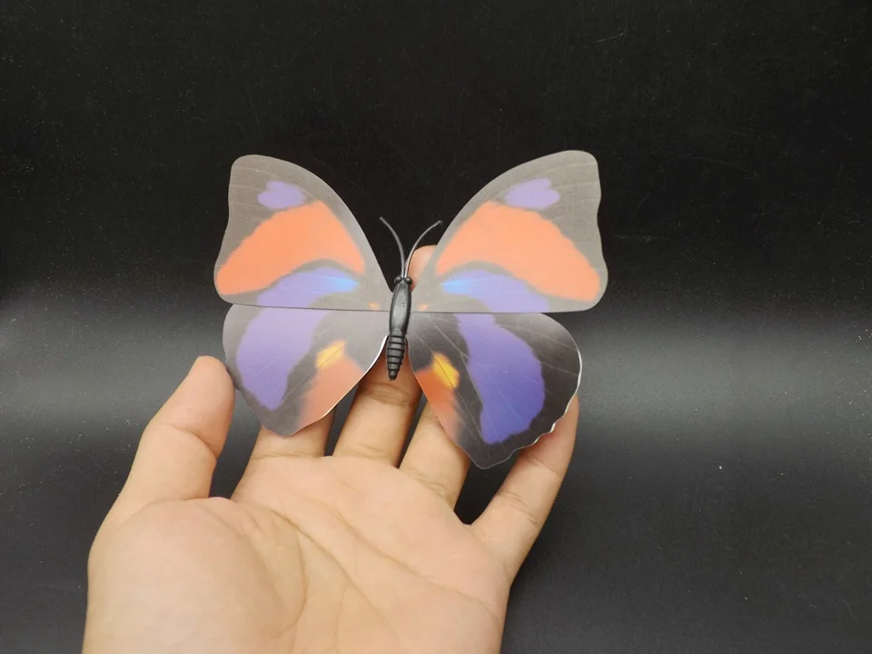 I240-Butterfly (1)