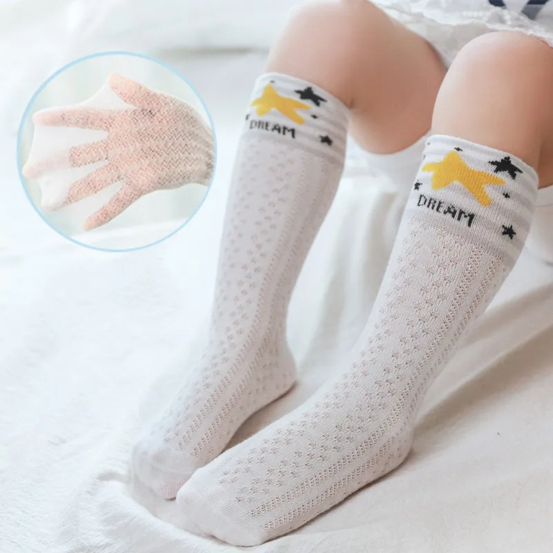 XL2528D (4)