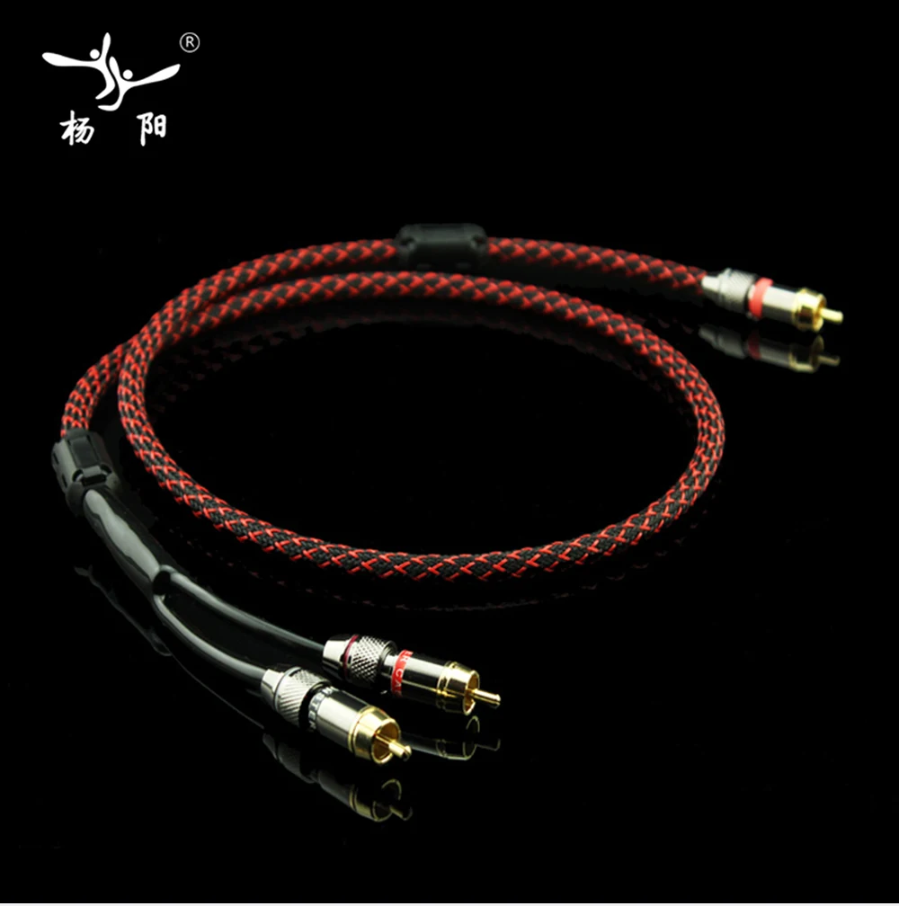 RCA2RCA_01