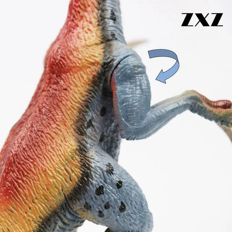 (10)_