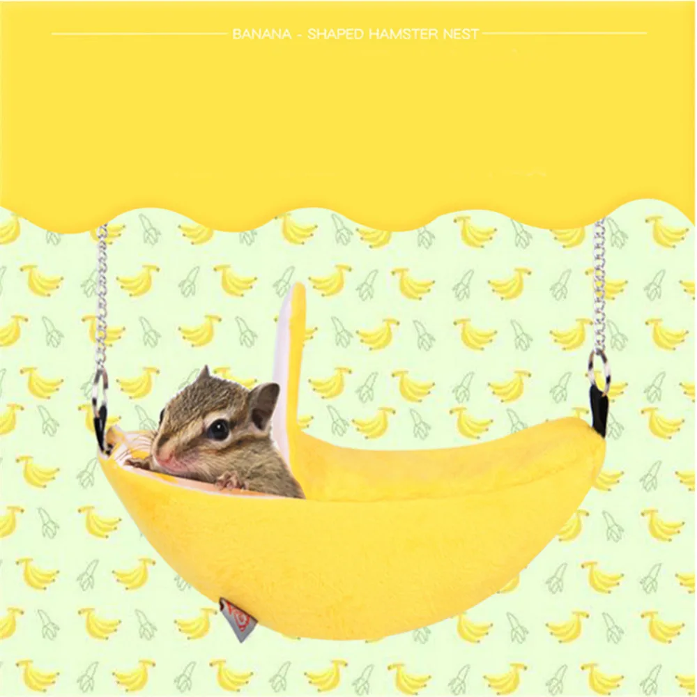 7295408232_973676538