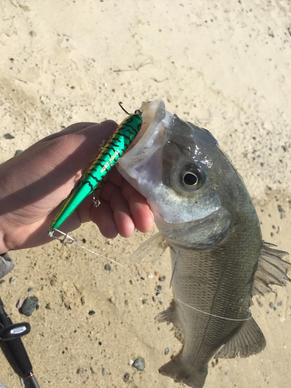 Hunthouse прыгающая рыболовная приманка игла рыбка карандаш приманка 90 мм 17 г Длинные литые тонущие Троллинговые приманки garfish
