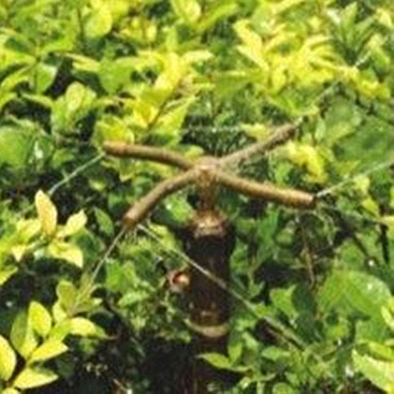 Slide image cdaee3cfd4f241088c8dbf7e6002c5db