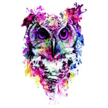 

Color 5D Diamond Mosaic DIY Diamond Painting Cartoon owl Cross Stitch Full Square Diamond Embroidery Wall Sticker Painting FZ717