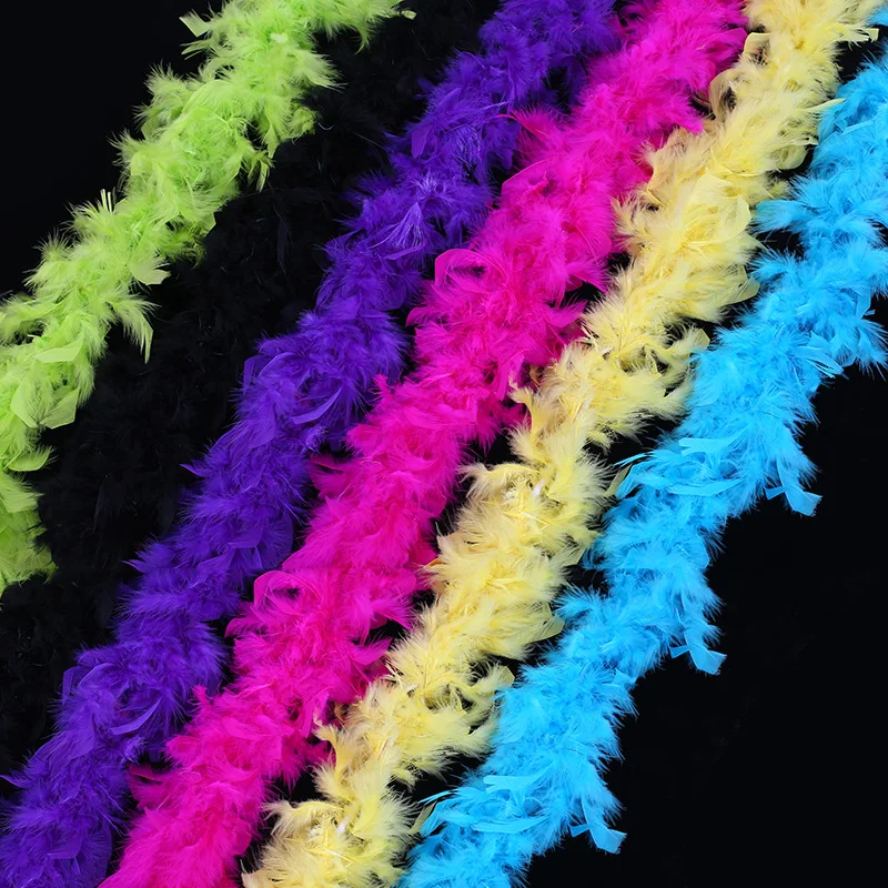 3407316391_1022353483