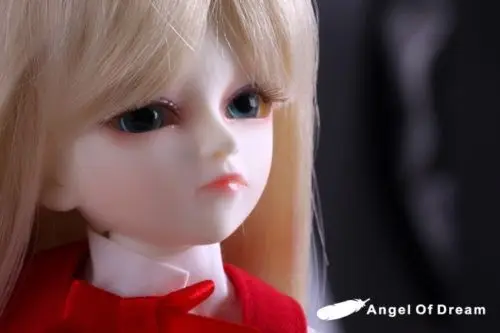 

[wamami] AOD 1/6 BJD Dollfie Girl Ni Ni FREE EYES/FACE UP