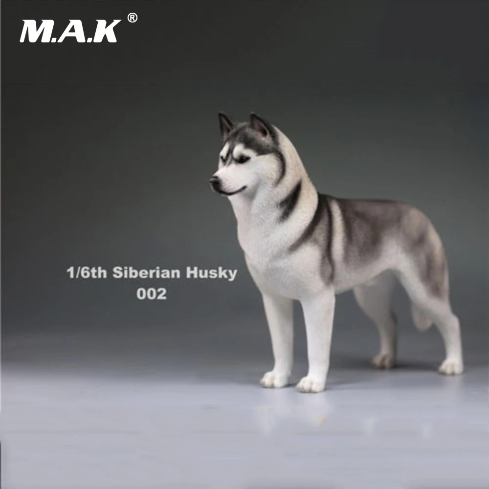 В наличии 1/6 фигурку аксессуар Сибирского Хаски моделирование Животные XVI 002