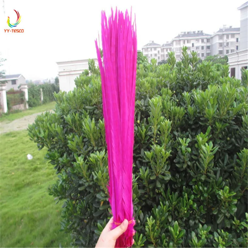 

Wholesale 50Pcs Royal blue Pheasant Tail Feathers 16-18inch 40-45CM High Quality jewelry Halloween Wedding Decorations Plumes